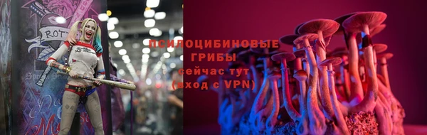 прущий лед Лагань
