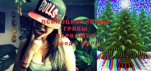 гидра Краснотурьинск