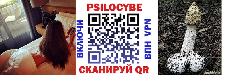 блэк спрут сайт  Краснослободск  Псилоцибиновые грибы Magic Shrooms 